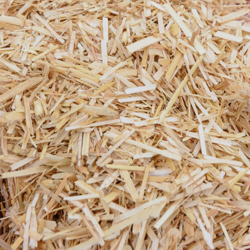 Close up of fine chopped wheat straw