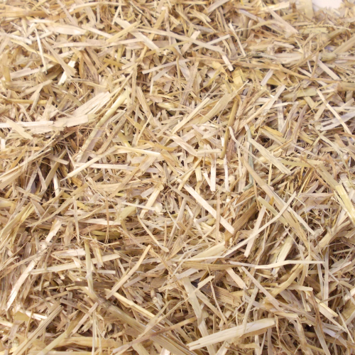 Close up of chopped wheat straw